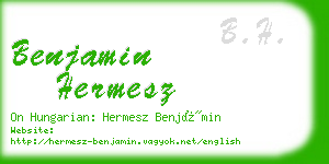 benjamin hermesz business card